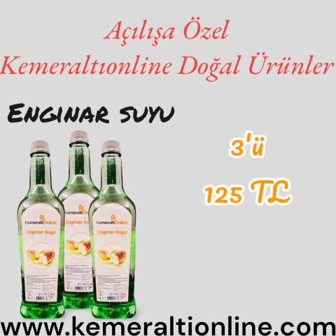 Enginar Suyu 3 lü