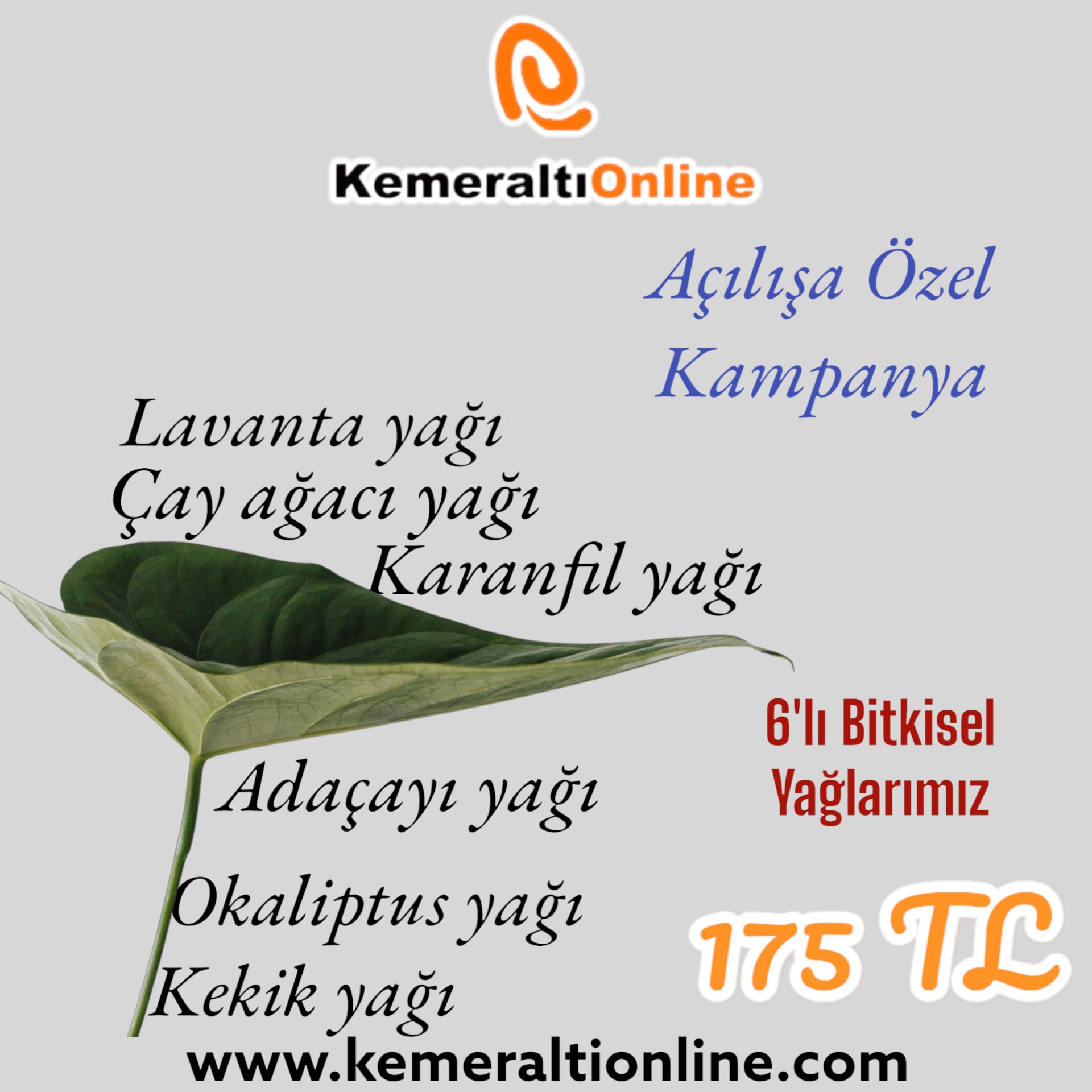 6 li Bitkisel Yağ 10 ml