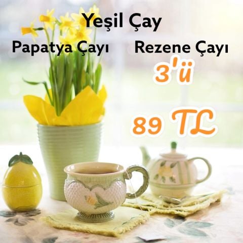 YEŞİL ÇAY, PAPATYA ÇAYI, REZENE ÇAYI 20'Lİ